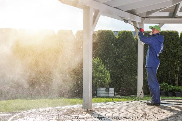 Best Soft Washing  in Kearny, NJ